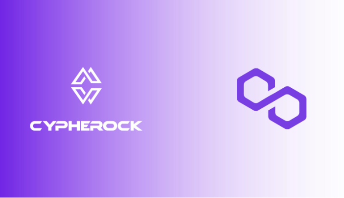 Hero image for Polygon(MATIC) integrated with Safe Key Labs X1